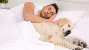 Personas que duermen con sus mascotas